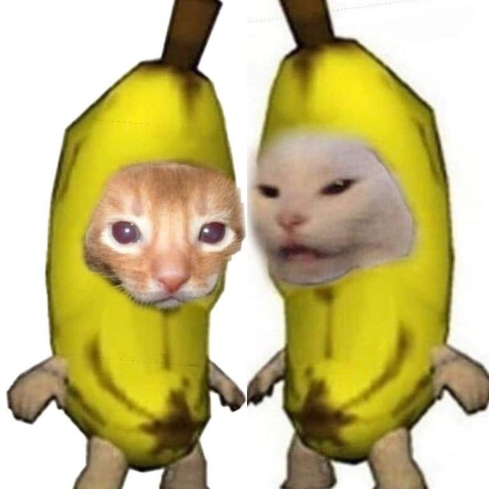 Meet your Posher, Karla